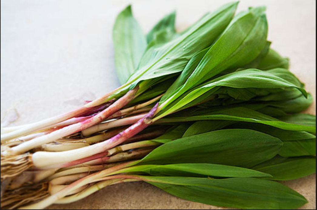 Kitchen Spotlight : Spring Ramps