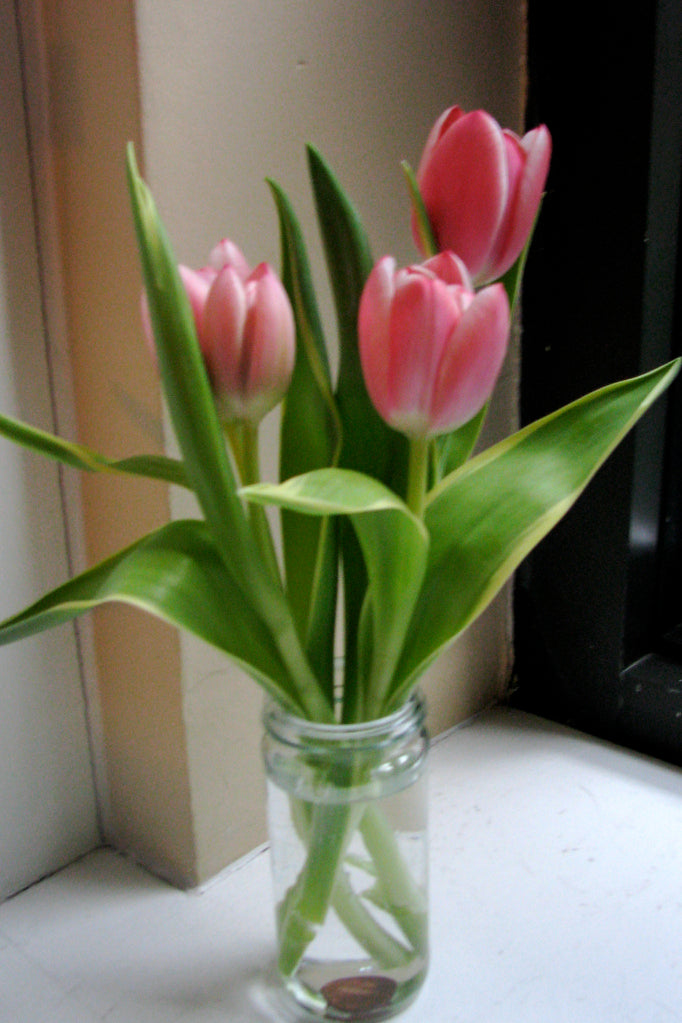 em-Stylish-Secret-em-A-Penny-for-Prettier-Tulips Stylish Spoon