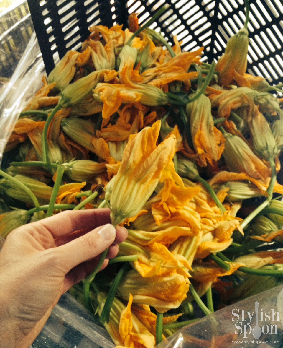 em-Kitchen-Spotlight-em-Stuffed-Squash-Blossoms Stylish Spoon