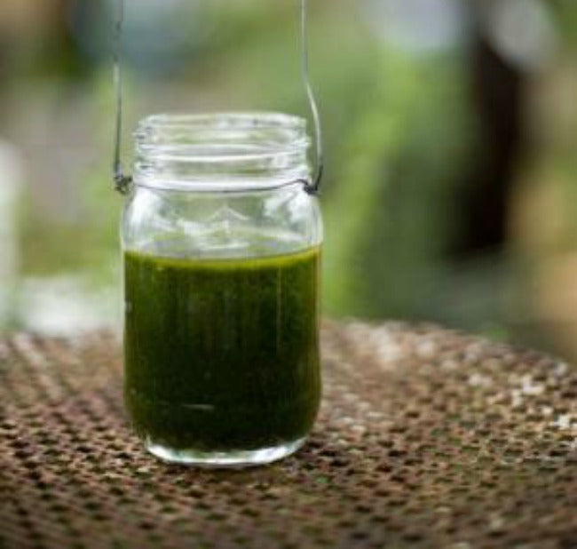 basil olive oil summer recipe