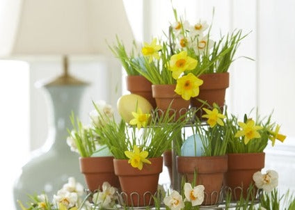 Cupcake Stand Flower Pot Centerpiece