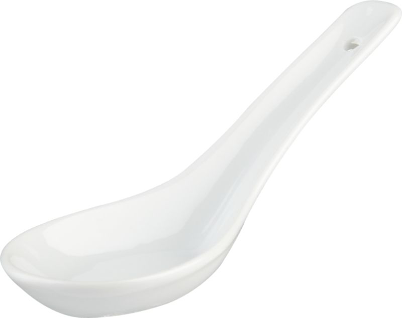 em-Friday-Find-em-Inexpensive-Chinese-Soup-Spoons Stylish Spoon