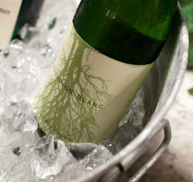 em-Party-Problem-Solved-em-How-to-Chill-Wine-Fast-Salt-Water-Ice-Bath Stylish Spoon